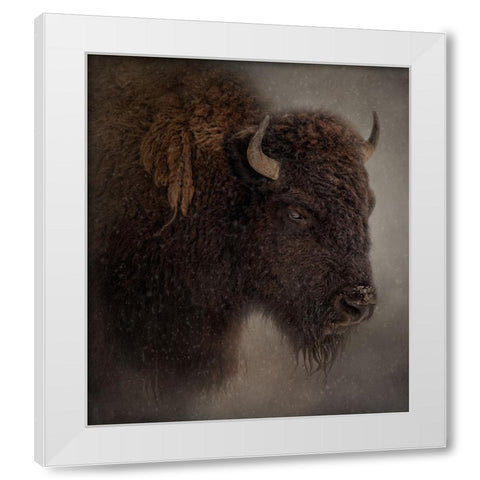 Deep Freeze White Modern Wood Framed Art Print by Parker, Kelley