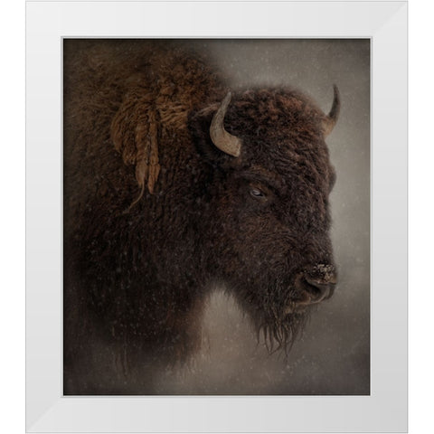 Deep Freeze White Modern Wood Framed Art Print by Parker, Kelley