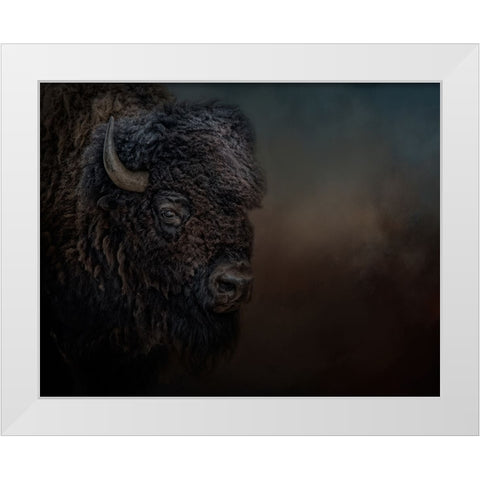 Harley White Modern Wood Framed Art Print by Parker, Kelley