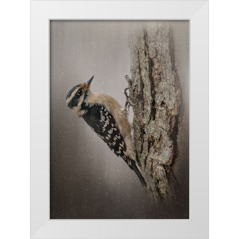 Little Carpenter White Modern Wood Framed Art Print by Parker, Kelley