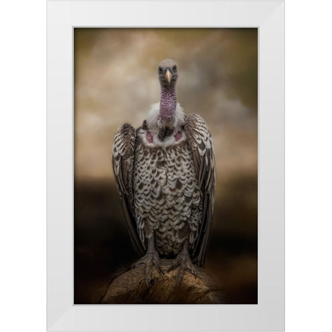 Look Into My Eyes White Modern Wood Framed Art Print by Parker, Kelley