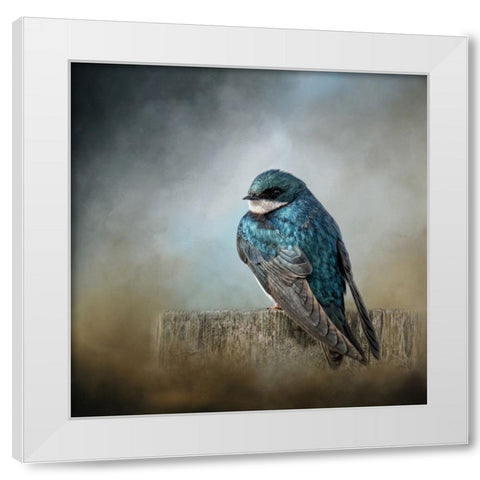 Pretty Boy Blue White Modern Wood Framed Art Print by Parker, Kelley