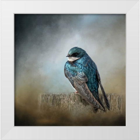 Pretty Boy Blue White Modern Wood Framed Art Print by Parker, Kelley