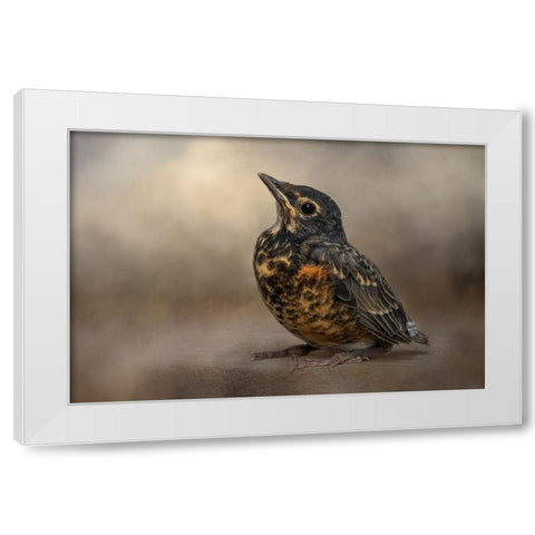 First Outing White Modern Wood Framed Art Print by Parker, Kelley