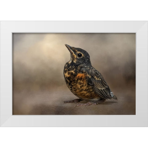 First Outing White Modern Wood Framed Art Print by Parker, Kelley