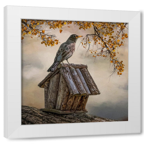 A Place to Perch White Modern Wood Framed Art Print by Parker, Kelley
