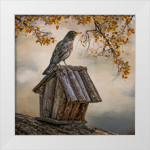 A Place to Perch White Modern Wood Framed Art Print by Parker, Kelley