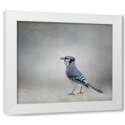 Frosty Morning White Modern Wood Framed Art Print by Parker, Kelley