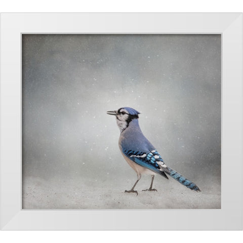 Frosty Morning White Modern Wood Framed Art Print by Parker, Kelley