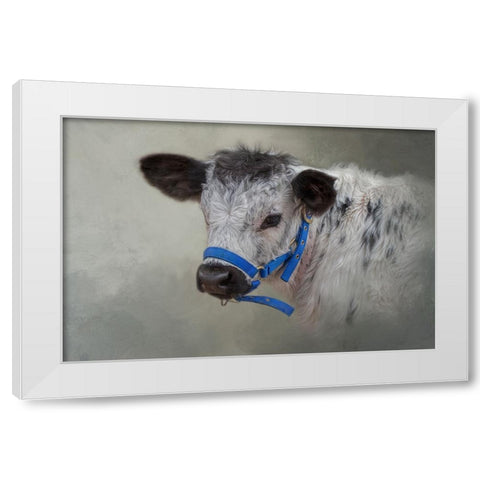 Little Elmer White Modern Wood Framed Art Print by Parker, Kelley