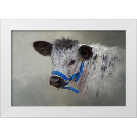 Little Elmer White Modern Wood Framed Art Print by Parker, Kelley