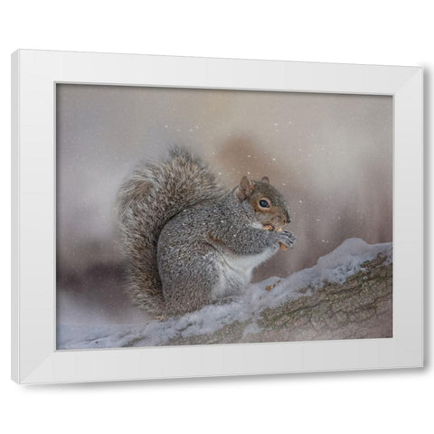 Winters Bounty White Modern Wood Framed Art Print by Parker, Kelley