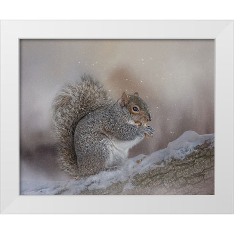 Winters Bounty White Modern Wood Framed Art Print by Parker, Kelley