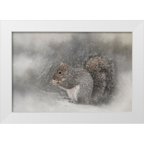 Snack Time White Modern Wood Framed Art Print by Parker, Kelley