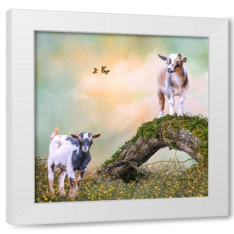 Getting a Better View White Modern Wood Framed Art Print by Parker, Kelley