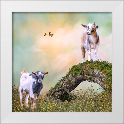 Getting a Better View White Modern Wood Framed Art Print by Parker, Kelley