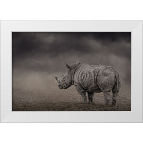 Shade of Gray White Modern Wood Framed Art Print by Parker, Kelley