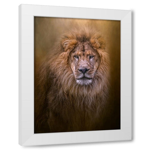 Thy Kingdom Come White Modern Wood Framed Art Print by Parker, Kelley