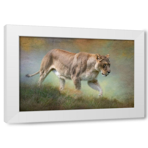 Its All Downhill White Modern Wood Framed Art Print by Parker, Kelley