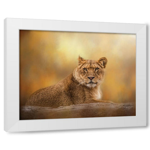 Dawning of the Day White Modern Wood Framed Art Print by Parker, Kelley