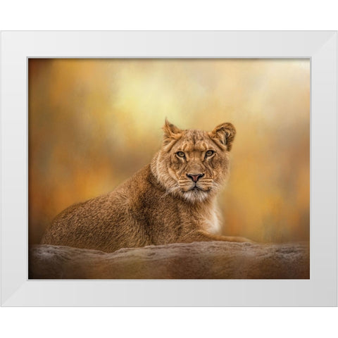 Dawning of the Day White Modern Wood Framed Art Print by Parker, Kelley