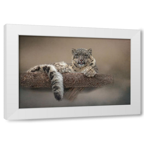 Lounging Around White Modern Wood Framed Art Print by Parker, Kelley