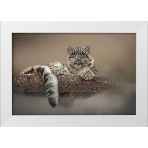 Lounging Around White Modern Wood Framed Art Print by Parker, Kelley