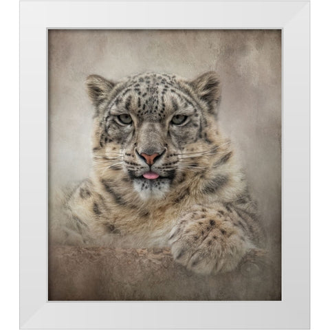 Snow cat White Modern Wood Framed Art Print by Parker, Kelley