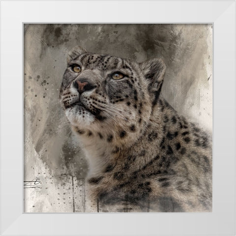 Snow Royalty White Modern Wood Framed Art Print by Parker, Kelley