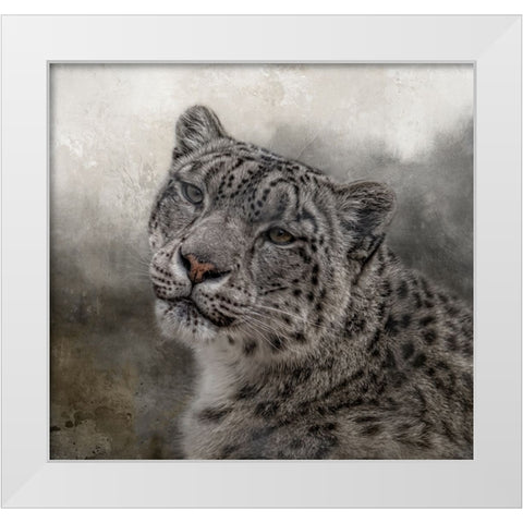 Face of the Wild White Modern Wood Framed Art Print by Parker, Kelley
