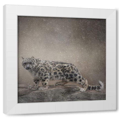 Brave Enough White Modern Wood Framed Art Print by Parker, Kelley