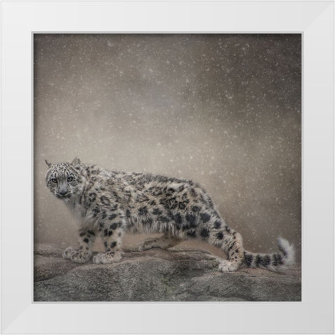 Brave Enough White Modern Wood Framed Art Print by Parker, Kelley
