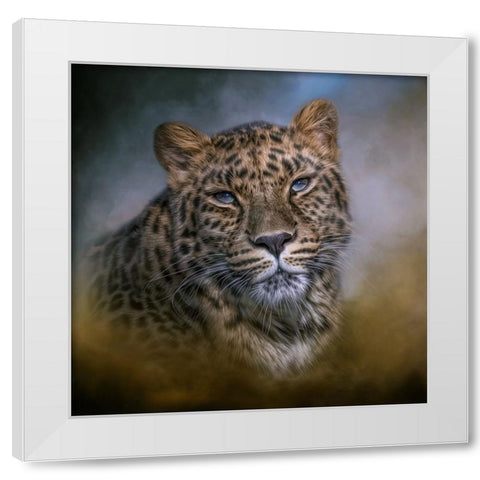Daydreamer White Modern Wood Framed Art Print by Parker, Kelley