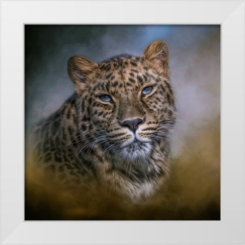 Daydreamer White Modern Wood Framed Art Print by Parker, Kelley