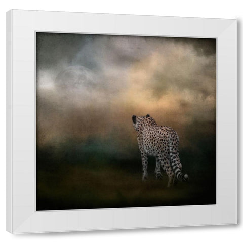 Heading Home White Modern Wood Framed Art Print by Parker, Kelley