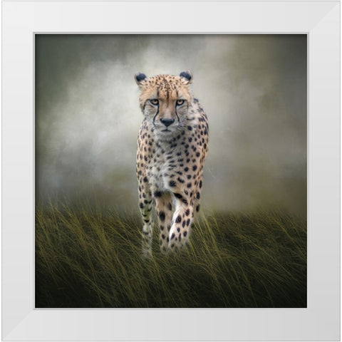 On the Move White Modern Wood Framed Art Print by Parker, Kelley