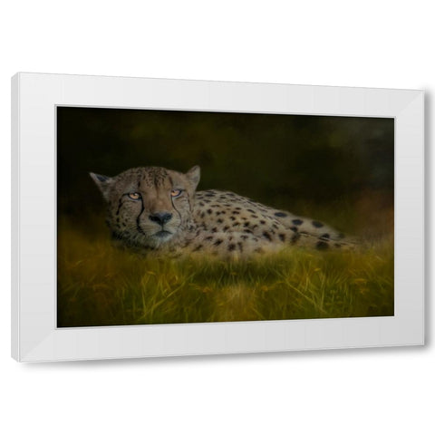 Resting After the Race White Modern Wood Framed Art Print by Parker, Kelley