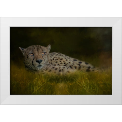 Resting After the Race White Modern Wood Framed Art Print by Parker, Kelley