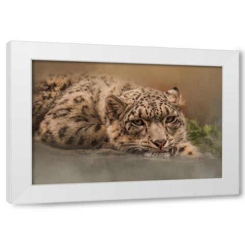 Taking It Easy White Modern Wood Framed Art Print by Parker, Kelley