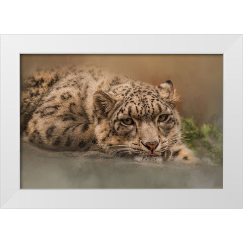 Taking It Easy White Modern Wood Framed Art Print by Parker, Kelley
