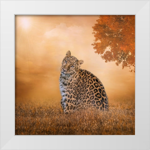 The Sunny Spot White Modern Wood Framed Art Print by Parker, Kelley