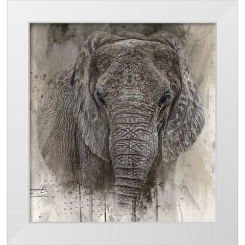 The Ancient One White Modern Wood Framed Art Print by Parker, Kelley