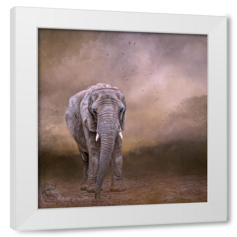 The Elderly Matriarch White Modern Wood Framed Art Print by Parker, Kelley