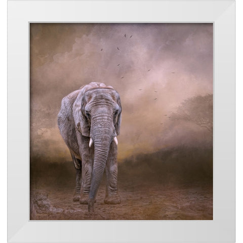 The Elderly Matriarch White Modern Wood Framed Art Print by Parker, Kelley