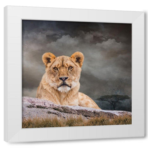 Sitting Out the Storm White Modern Wood Framed Art Print by Parker, Kelley