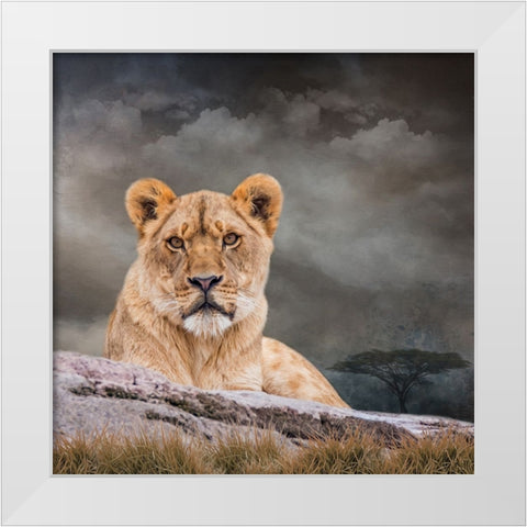 Sitting Out the Storm White Modern Wood Framed Art Print by Parker, Kelley