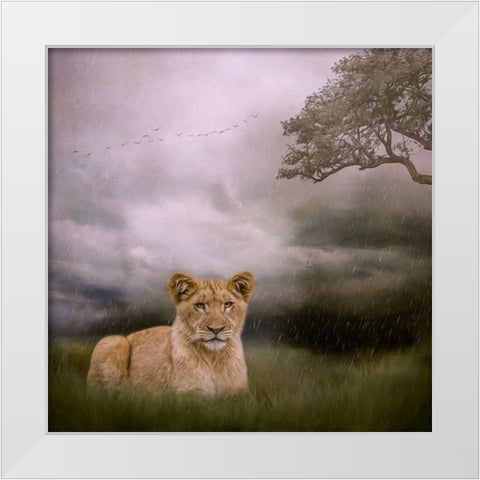 Beginning to Rain White Modern Wood Framed Art Print by Parker, Kelley