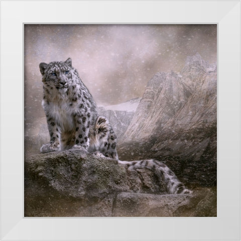 Edge of the Storm White Modern Wood Framed Art Print by Parker, Kelley