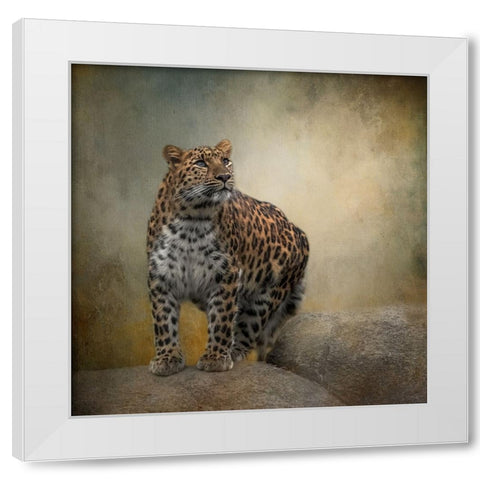 On the Lookout White Modern Wood Framed Art Print by Parker, Kelley