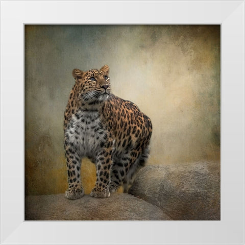 On the Lookout White Modern Wood Framed Art Print by Parker, Kelley